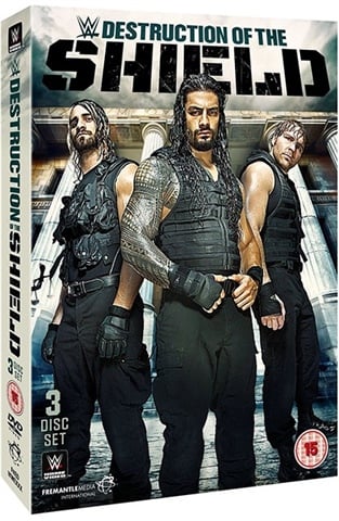 WWE - Destruction of the Shield (15)